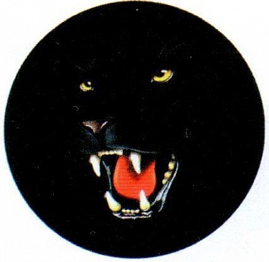Виниловая наклейка Черная пантера GRC 5172